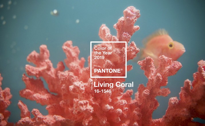 Pantone Annonce le Corail Vivant comme Couleur de l'Année 2019